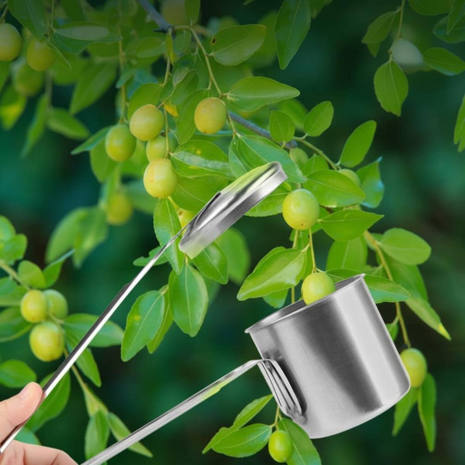 Gardening Tools And Uses - Cup Fruit Picker Stainless Steel Fruit-Picking