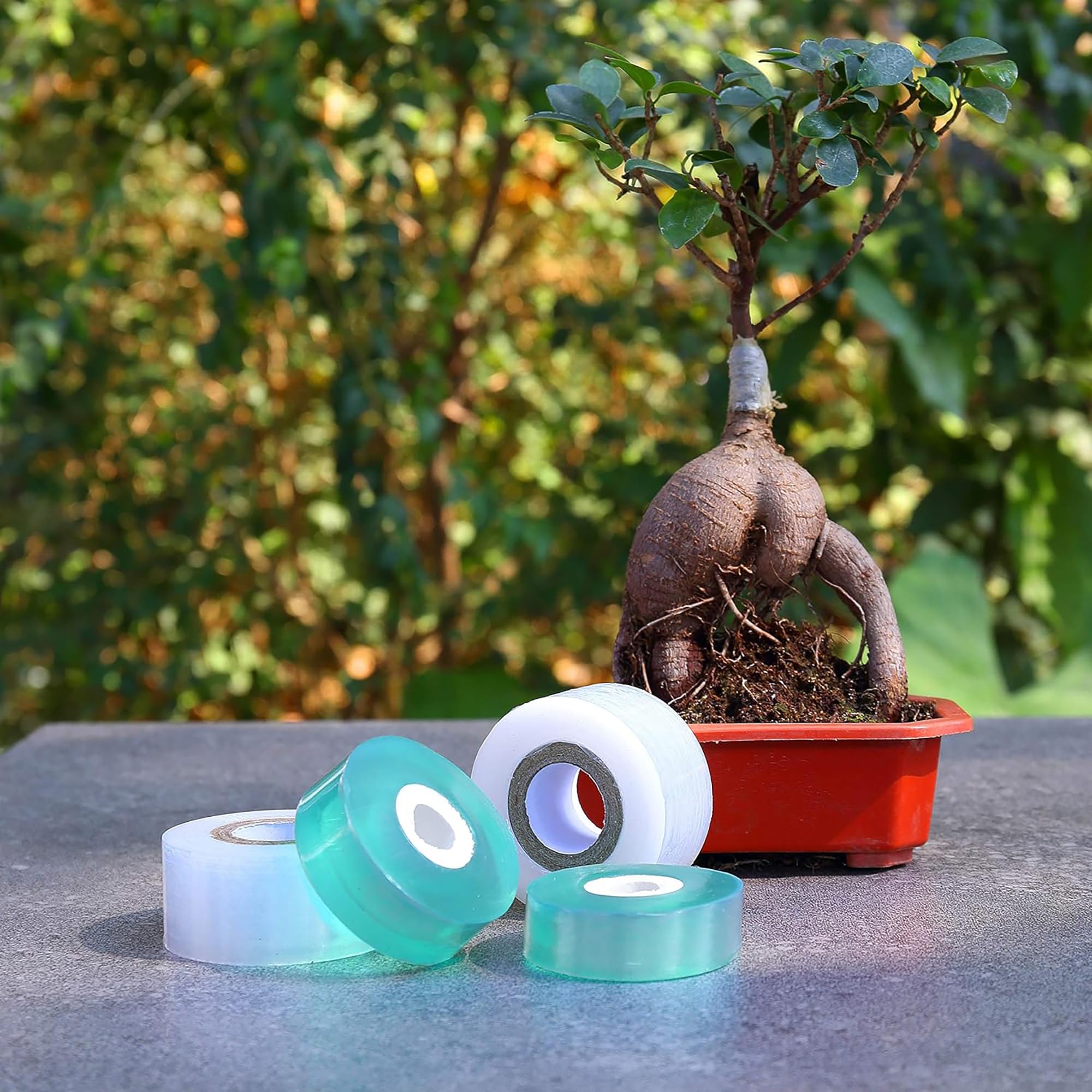 Easy Use Biodegradable Self Ad - Gardening Tools And Uses ulasan dan harga