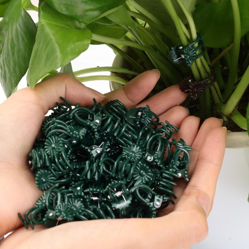 Wholesale Mini Plant Support C - Gardening Tools Store ulasan dan harga