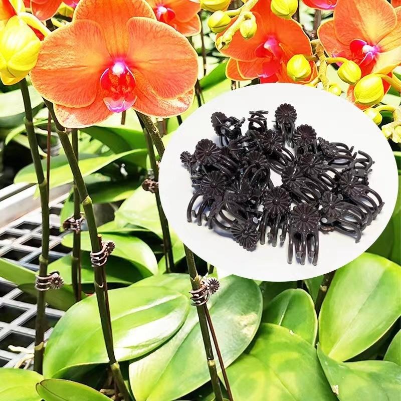 Wholesale Mini Plant Support C - Gardening Tools Store ulasan dan harga