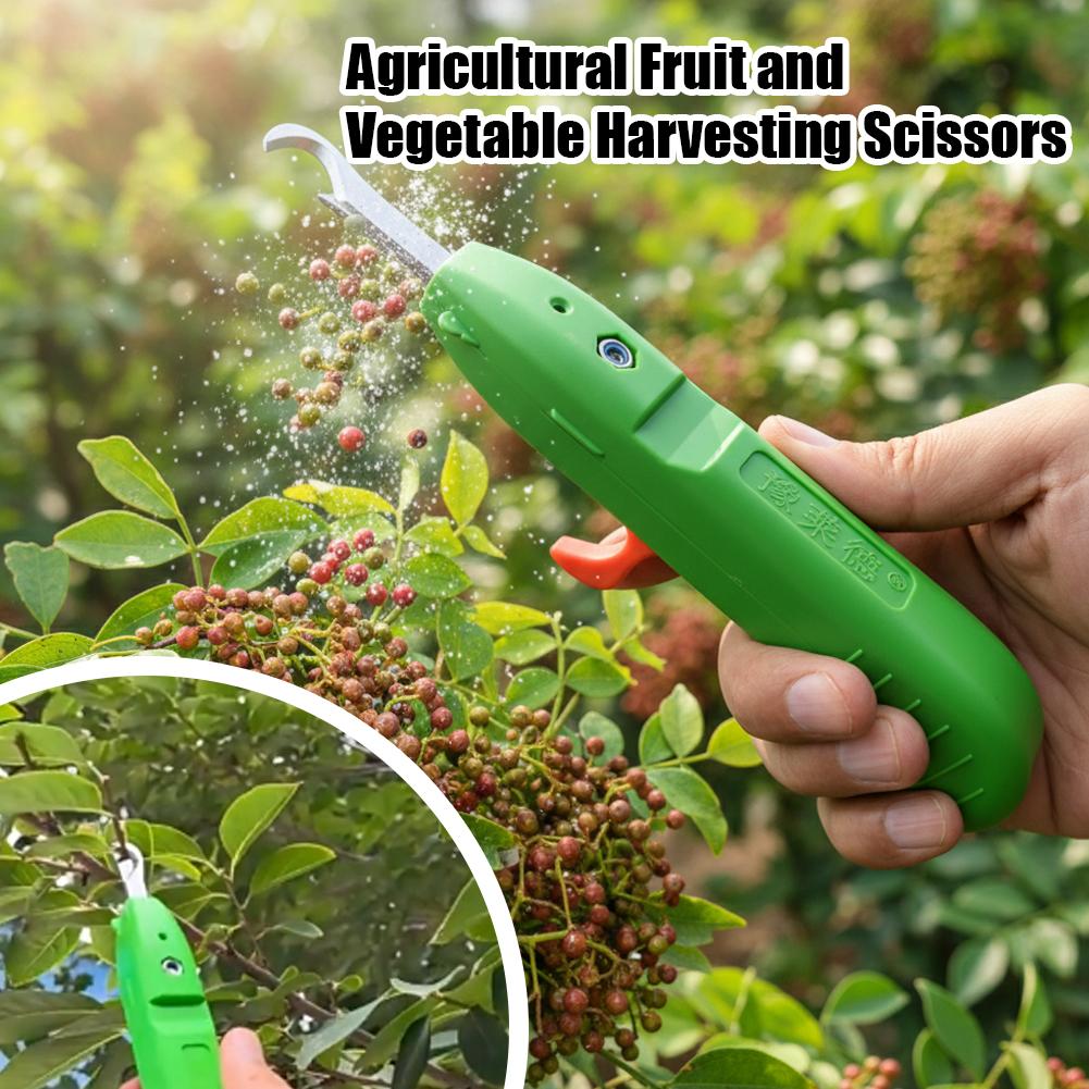 Fruit And Vegetable Picking Sh - Gardening Tools Usa ulasan dan harga