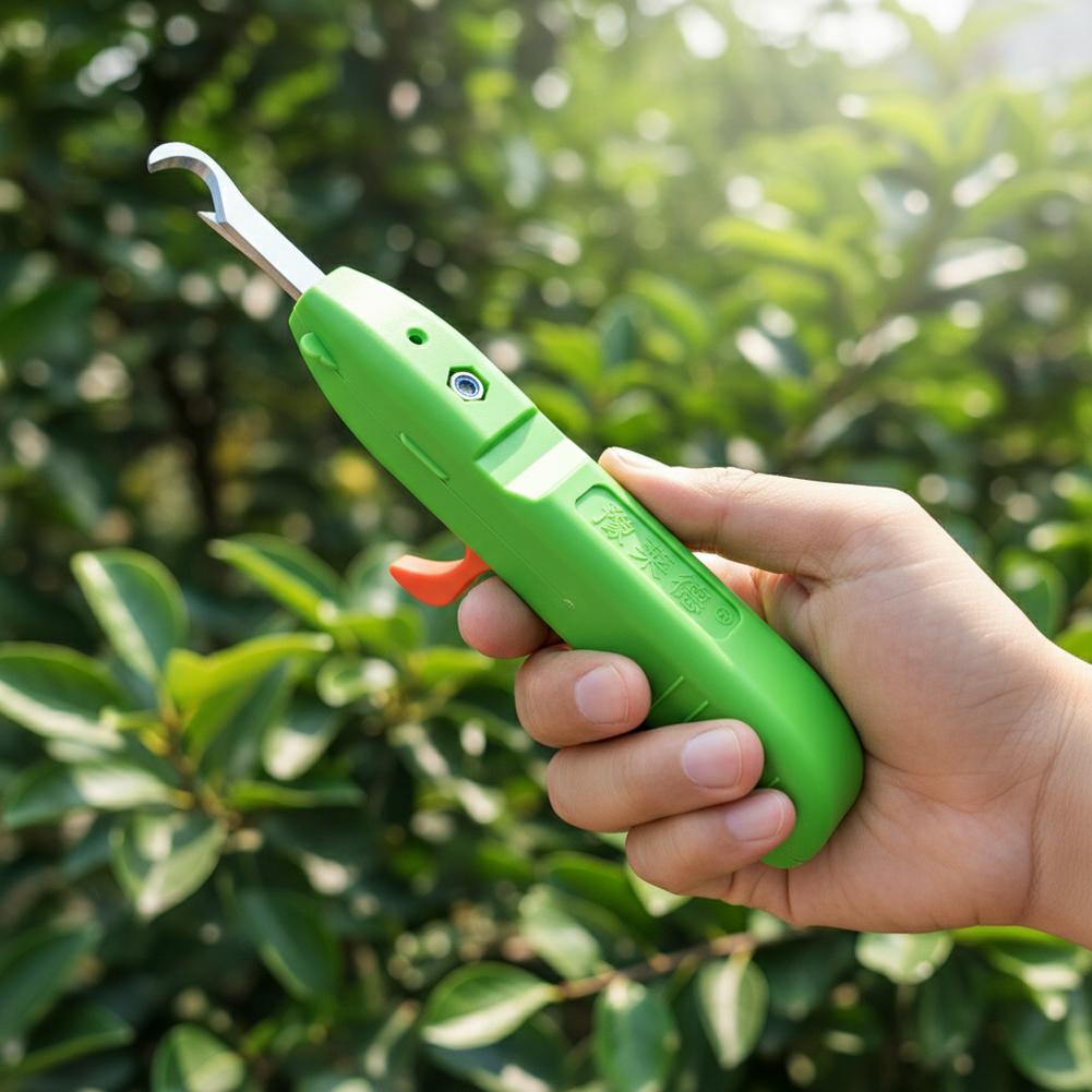 Fruit And Vegetable Picking Sh - Gardening Tools Usa ulasan dan harga