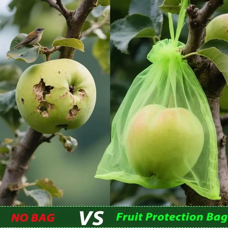 Wholesale Fruit Protection Bag - Gardening Tools Store ulasan dan harga
