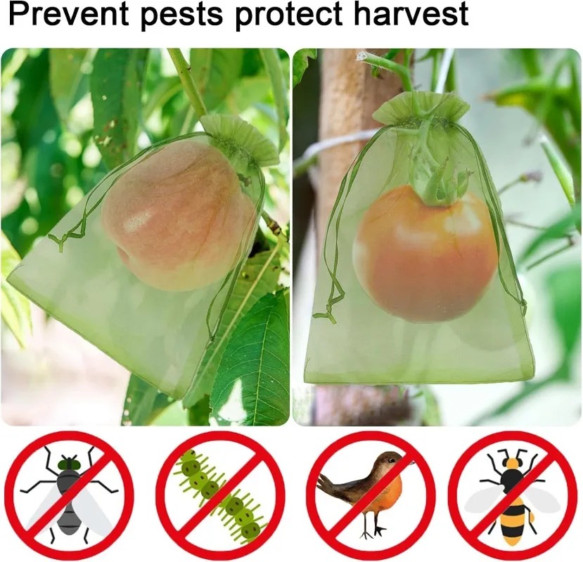 Wholesale Fruit Protection Bag - Gardening Tools Store ulasan dan harga
