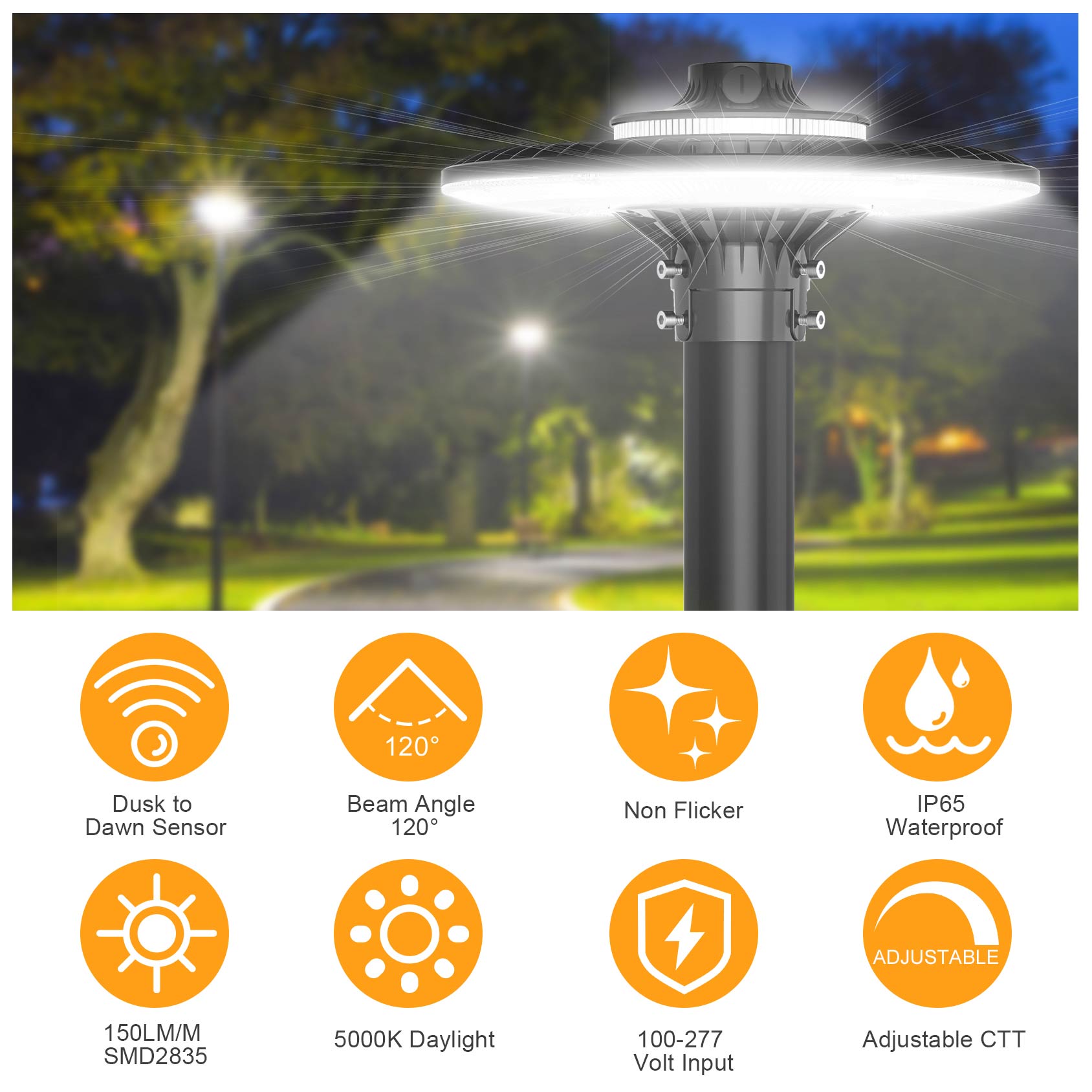 LED POST TOP Fixture ETL CE UL - Gardening Tools List ulasan dan harga