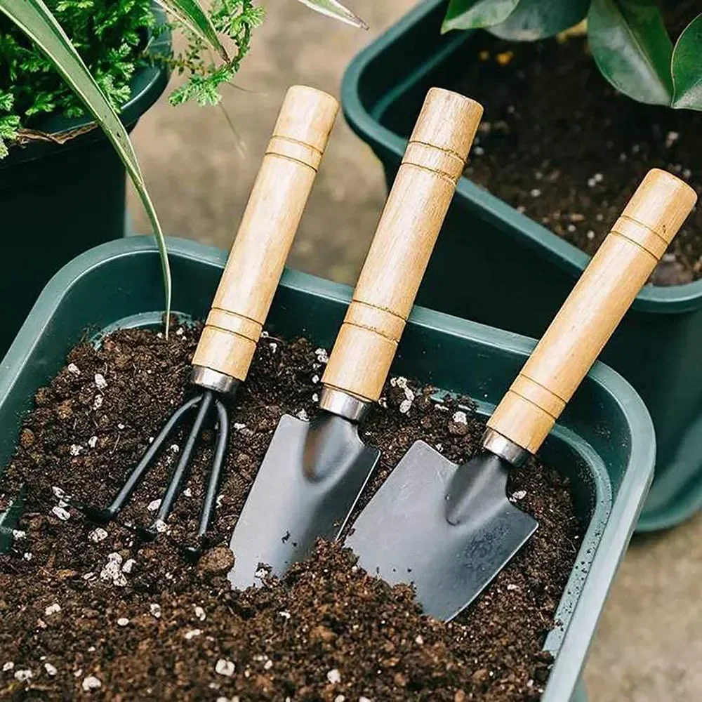 3Pcs/Set Mini Garden Tool Set  - Gardening Tools Shop ulasan dan harga
