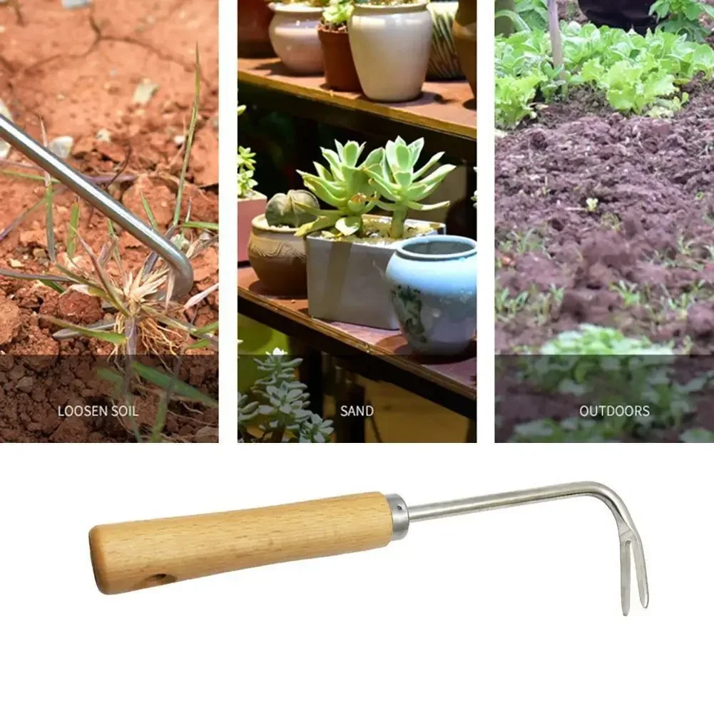 Stainless Steel Gardening Weed - Gardening Tools To Remove Weeds ulasan dan harga