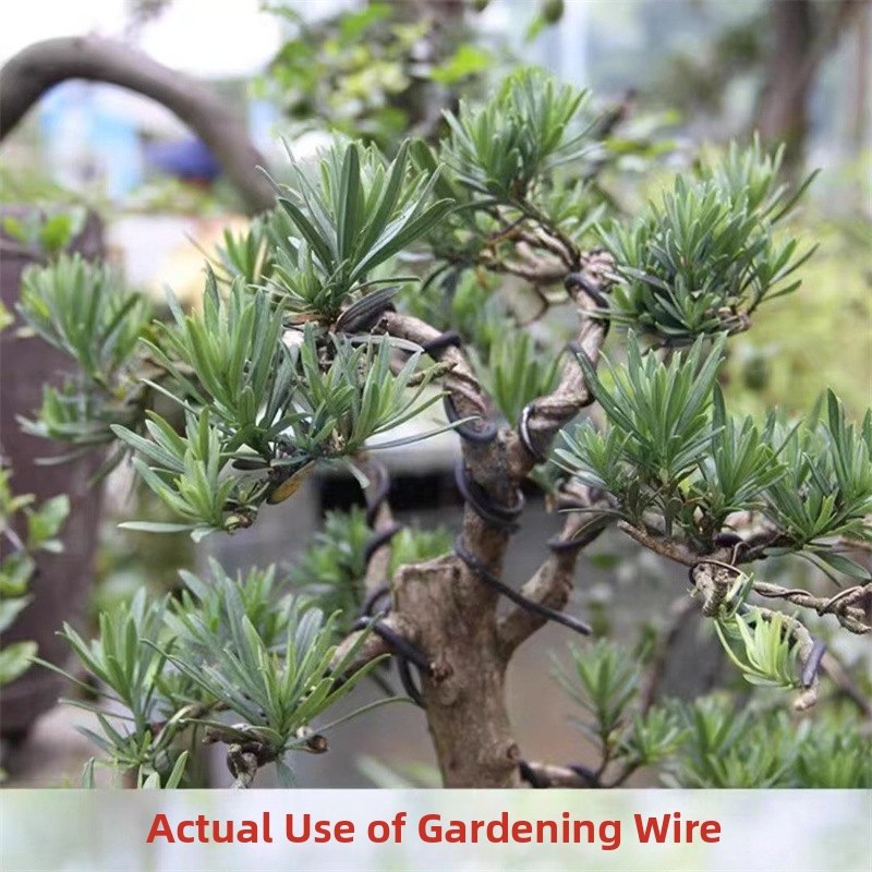 1.5MM Bonsai Wires Aluminum Bo - Gardening Tools And Uses ulasan dan harga