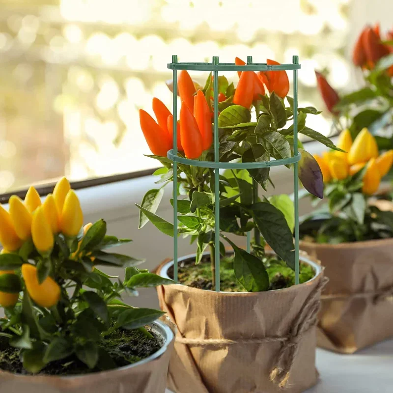 Plastic Plant Support Pile Sta - Gardening Tools Hoe ulasan dan harga