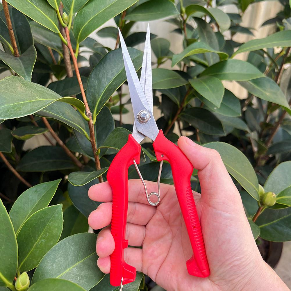 Pro Garden Pruning Shears Leng - Gardening Tools Usa ulasan dan harga