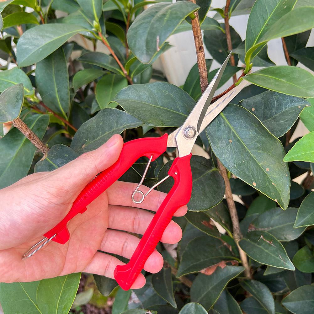 Pro Garden Pruning Shears Leng - Gardening Tools Usa ulasan dan harga