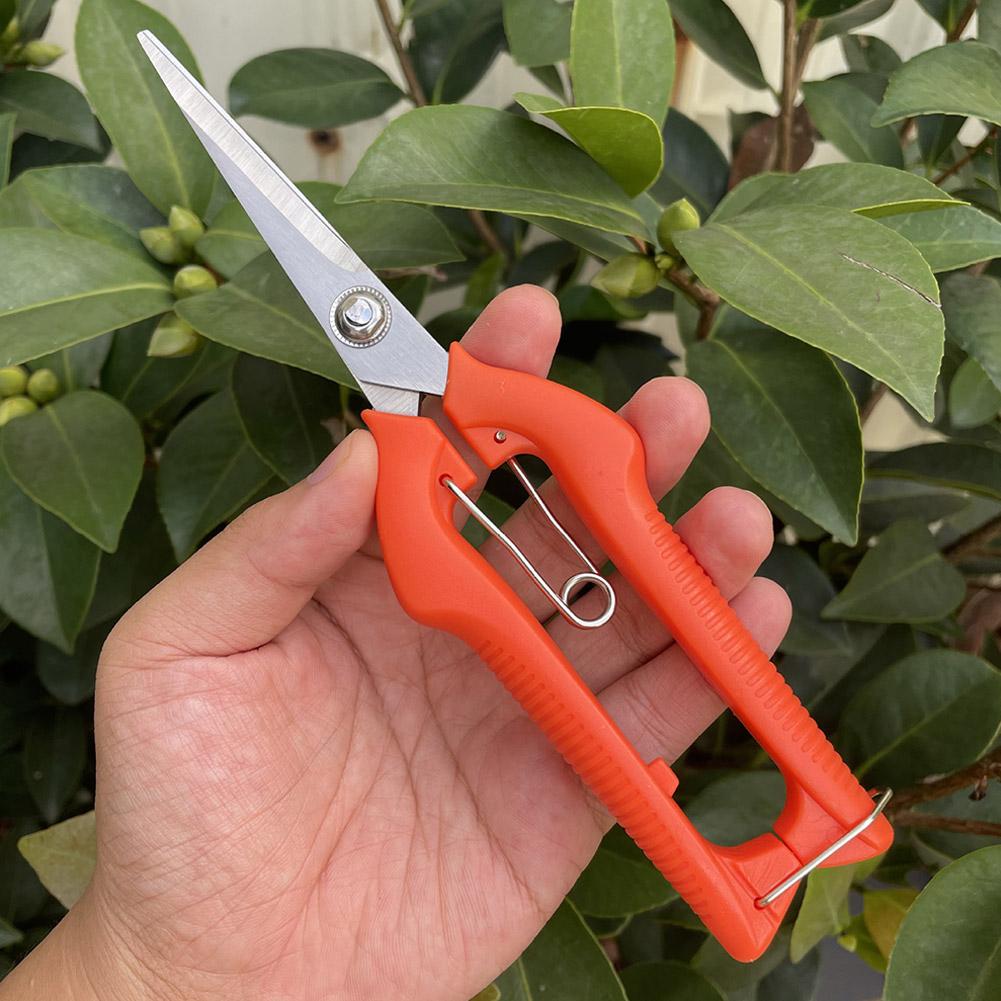Pro Garden Pruning Shears Leng - Gardening Tools Usa ulasan dan harga