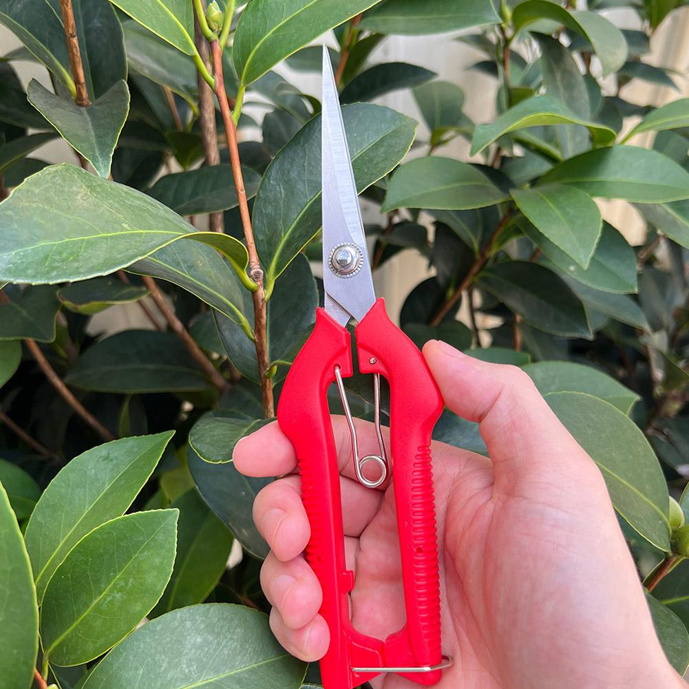 Pro Garden Pruning Shears Leng - Gardening Tools Usa ulasan dan harga