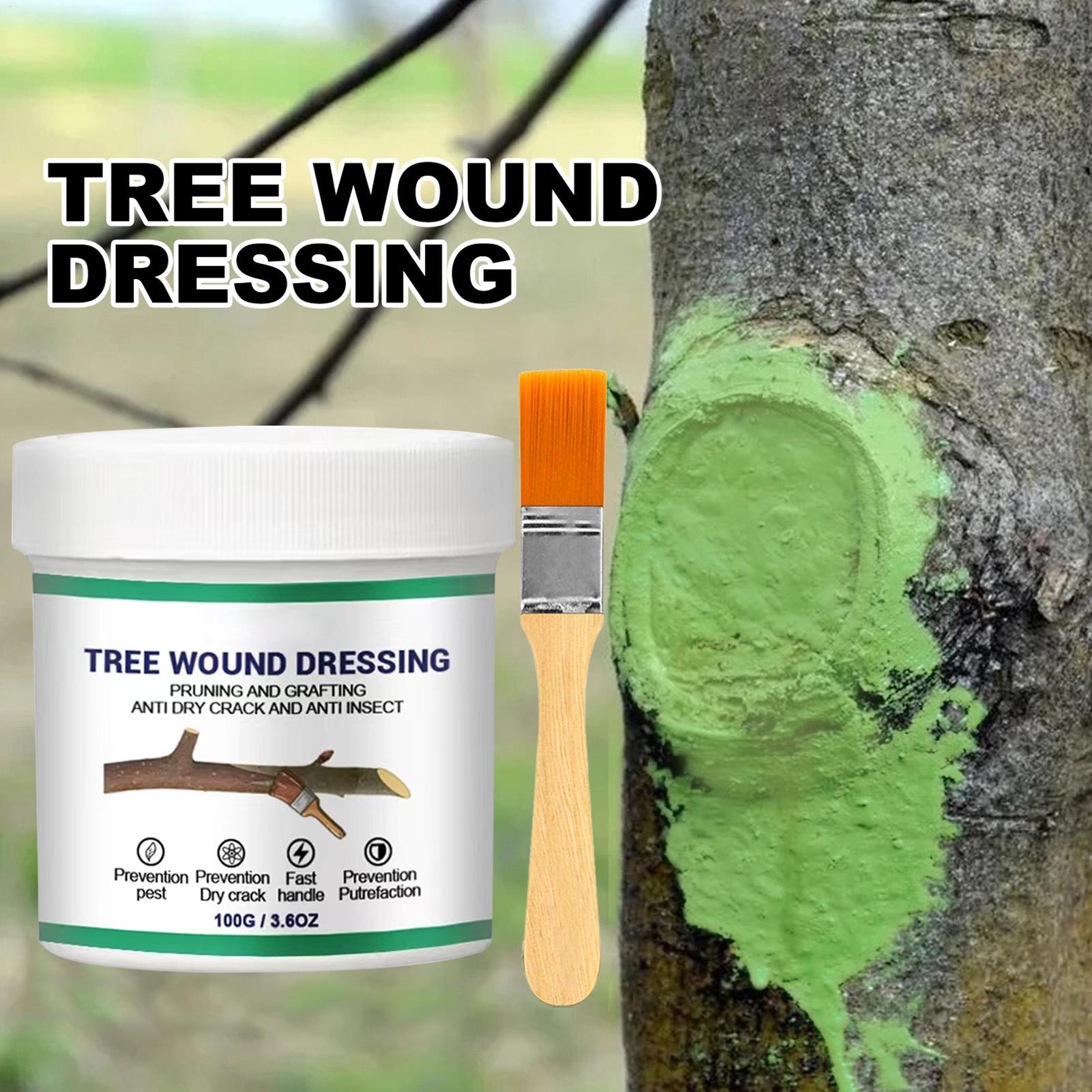 Tree Grafting Paste Tree Wound - Gardening Tools Repair ulasan dan harga