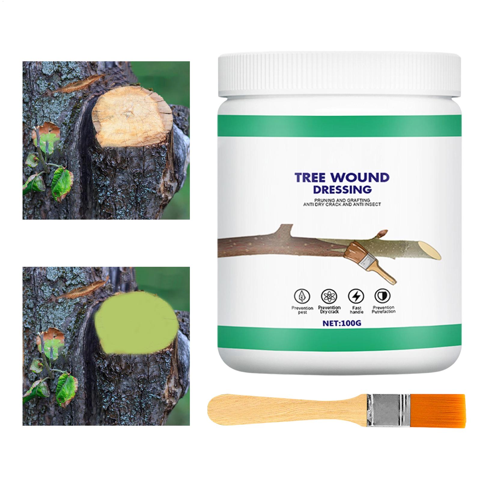 Tree Grafting Paste Tree Wound - Gardening Tools Repair ulasan dan harga