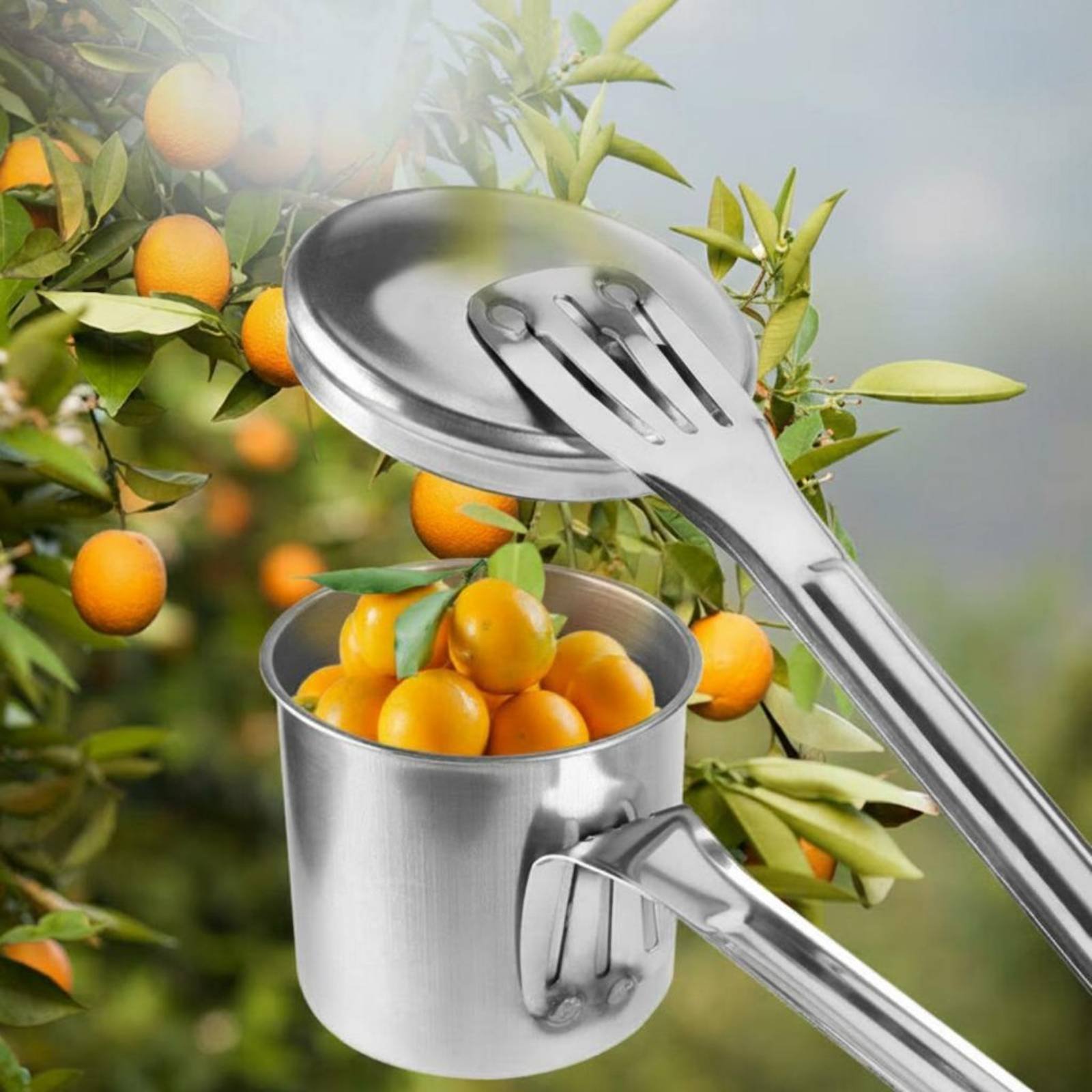 Cup Fruit Picker Stainless Ste - Gardening Tools And Uses ulasan dan harga