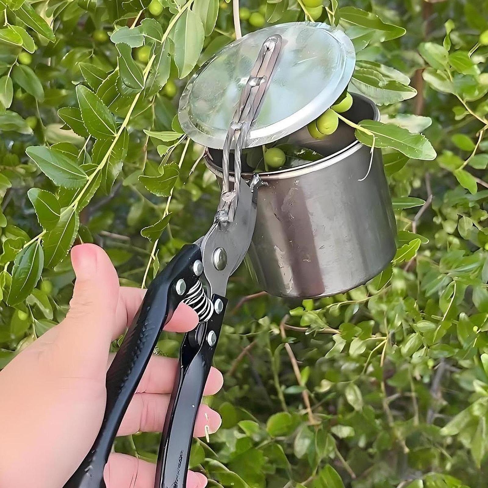 Fruit Picker, Easy to Use Port - Gardening Tools And Uses ulasan dan harga
