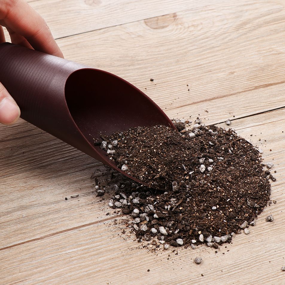 1PC Plastic Soil Shovel Cup Fo - Gardening Tools Hoe ulasan dan harga